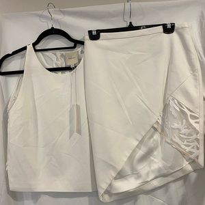 Michelle Mason Crop Top with Mesh Back and Mesh Panel Asymmetrical Skirt Set